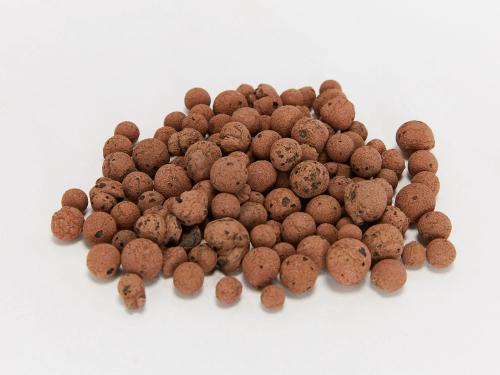 growing clay pebbles